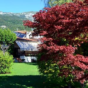 B&B La Betulla